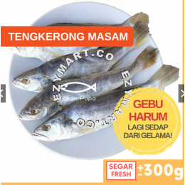 Ocean Papa Ikan Masin Tengkerong Masam (300g) / Gelama Masam (400g) Gred A / Salted Fish